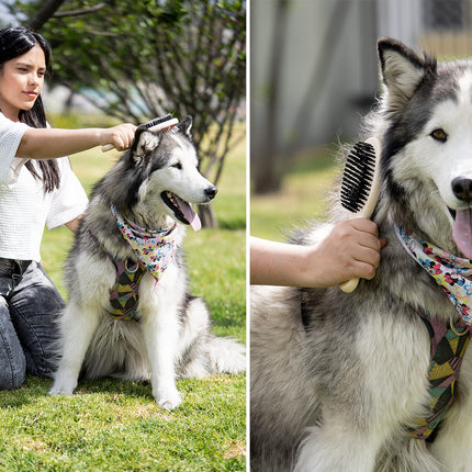 Cepillos para Mascotas Laika
