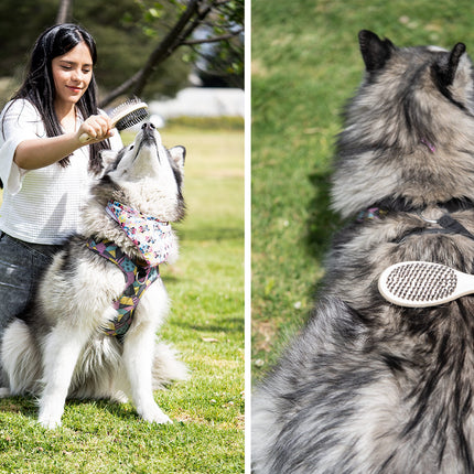 Cepillos para Mascotas Laika
