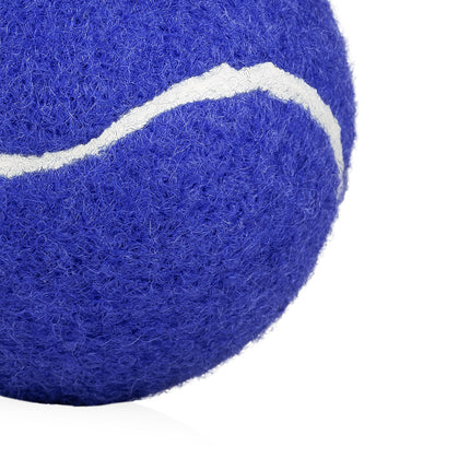 Pelota para Mascotas Marley
