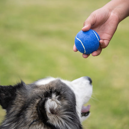Pelota para Mascotas Marley