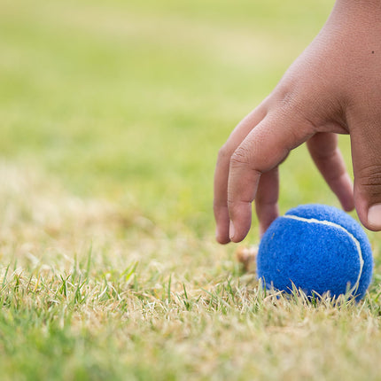 Pelota para Mascotas Marley
