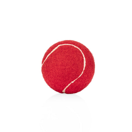 Pelota para Mascotas Marley