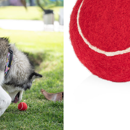 Pelota para Mascotas Marley