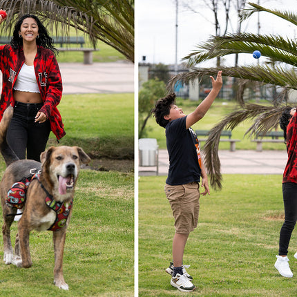 Pelota para Mascotas Marley