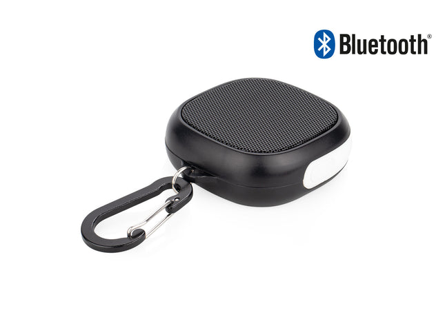 Altavoz Allegro