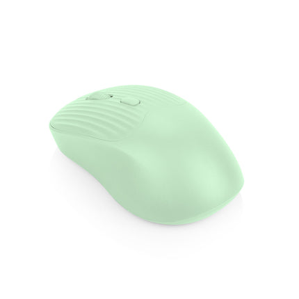 Mouse Jerry