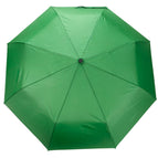 Verde Limón