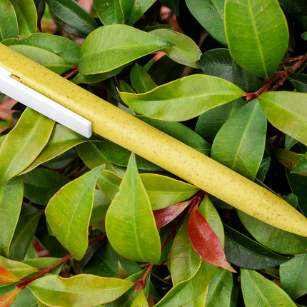 Bolígrafo Irlanda