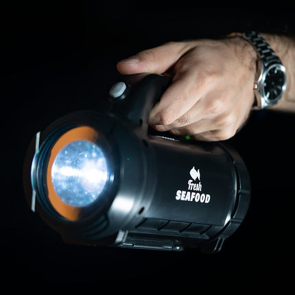 Set Linterna Car