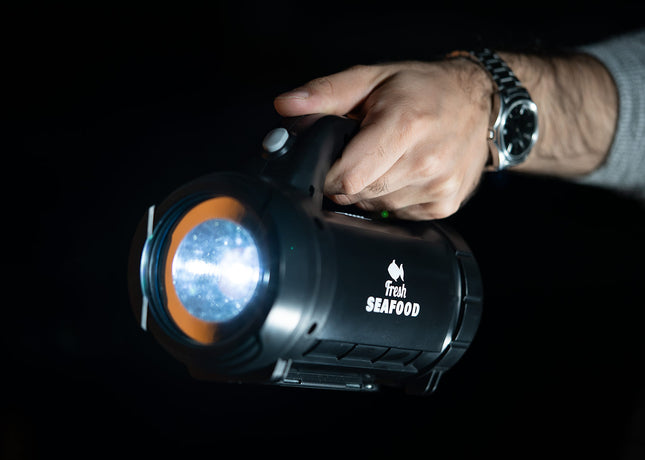 Set Linterna Car