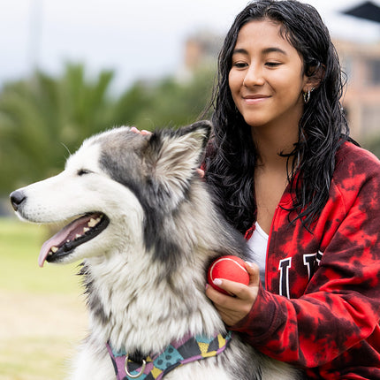Pelota para Mascotas Marley