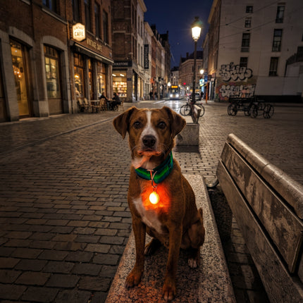 MINI LUZ PARA MASCOTAS