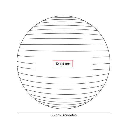 PELOTA DE PILATES WELLNESS