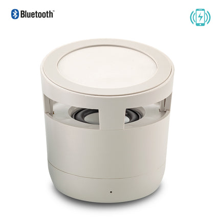 SPEAKER BLUETOOTH WYN 2-1