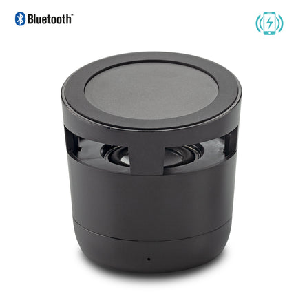 SPEAKER BLUETOOTH WYN 2-1