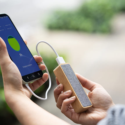 Powerbank Loader 2.200 mAh