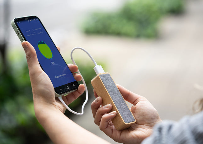 Powerbank Loader 2.200 mAh