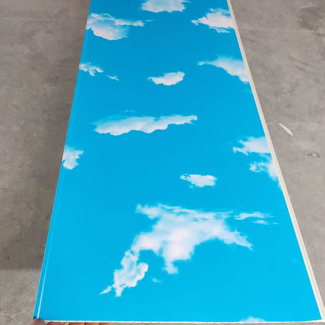 Techo Pvc Cielo