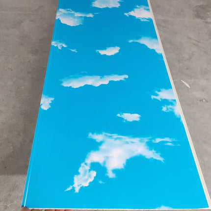 Techo Pvc Cielo