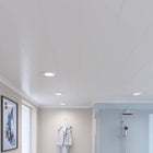 Techo Pvc 1