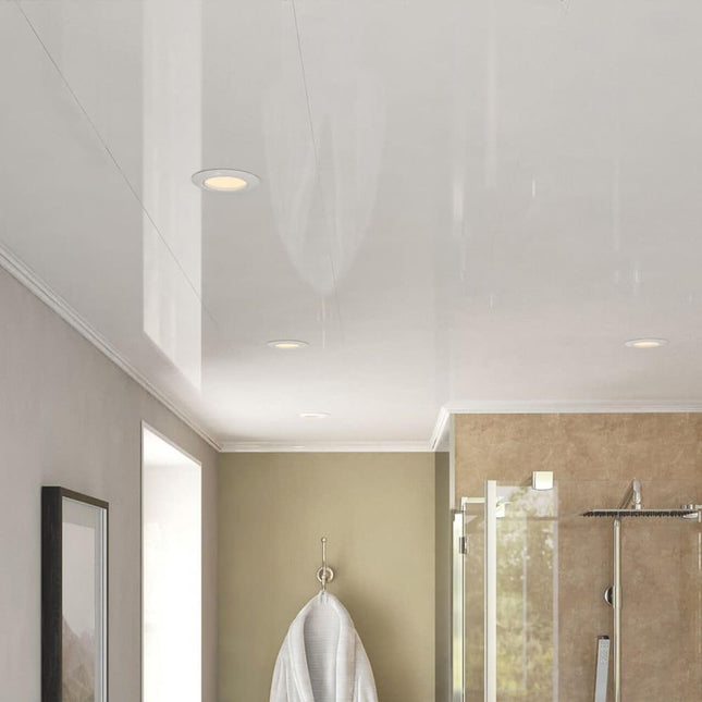 Techo Pvc 1