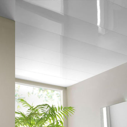 Techo Pvc 1