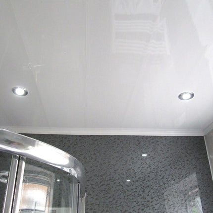 Techo Pvc 1