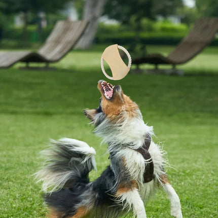 JUEGO PARA MASCOTAS