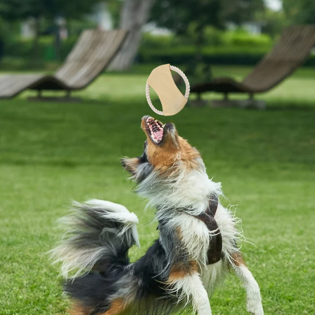 JUEGO PARA MASCOTAS