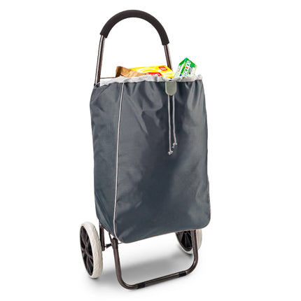 CARRITO PARA MERCADO DELUXE