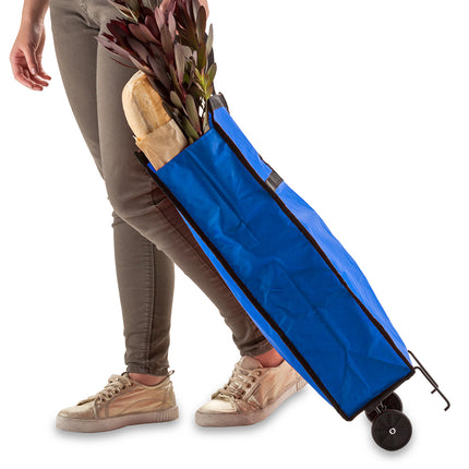 CARRITO SHOPPING BAG PLEGABLE - PRECIO BOMBA